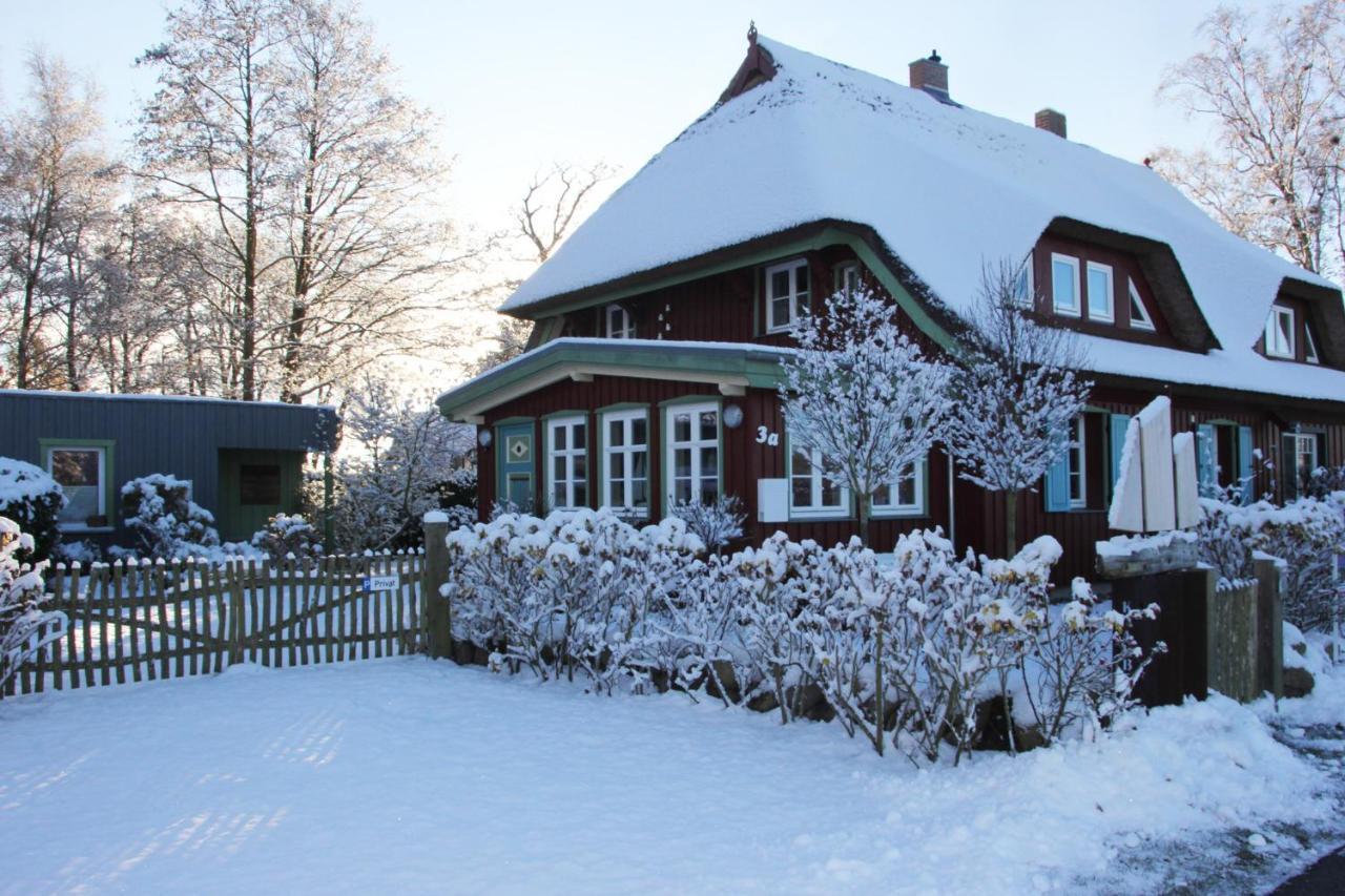 Krabbenkate Villa Prerow Kültér fotó